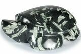 Polished Chinese Writing Rock Turtle - California #309062-1